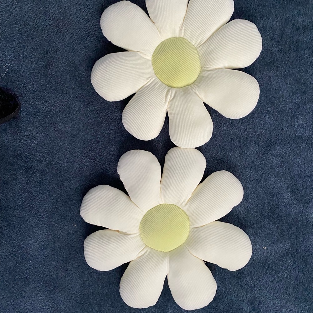 2 Large Daisy Plush Pillows